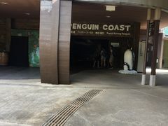 -新加坡飞禽公园