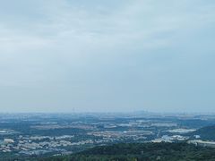 -北京西山国家森林公园