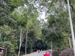 -火炉山森林公园