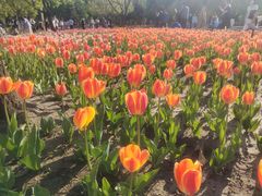 -长春公园(普阳街道)