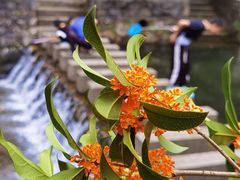 -宁波五龙潭景区