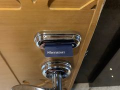-西安赛瑞喜来登大酒店