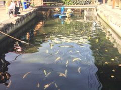 -京北渔家傲