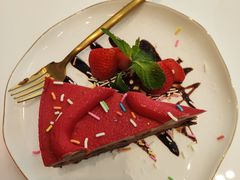 -飞行喵MR PILOT|猫舍·猫咖(静安大融城店)