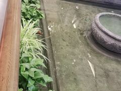 -旺顺阁鱼头泡饼(小红门店)