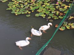 -绍兴鉴湖君澜大酒店