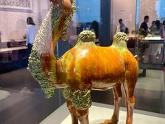 -贵州省博物馆(新馆)