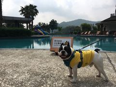 -宁波九龙湖开元度假村
