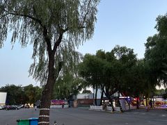 -枫花园汽车电影院(朝阳公园店)