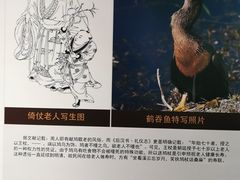 -鄂尔多斯青铜器博物馆