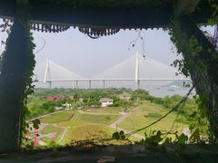 -芒洲湿地公园