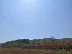 -大连铭湖国际观光牧场