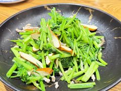 -阿巧茶庄