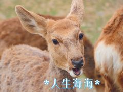-良渚古城遗址公园