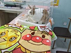 -嘉馨宠物医院·CT影像转诊·心脏科·犬猫全科诊疗中心(下沙大学城院区)