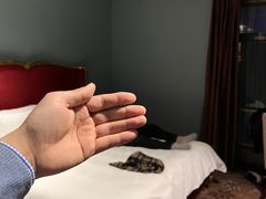 -厦门泰谷酒店(中山路镇海路地铁站店)