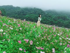 -广州市石门国家森林公园