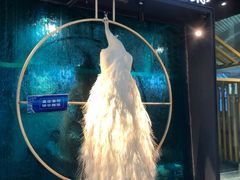 -雀舞云南菜(乐客城店)