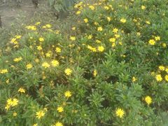 -中国天府农业博览园