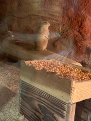 -酷嗒动物文化乐园(cutezoo西溪乐天城店)