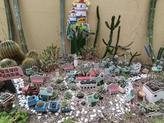 -正佳雨林生态植物园