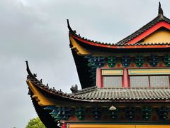 -杭州半山国家森林公园