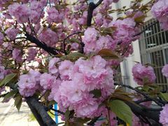 -醉得意(武大店)