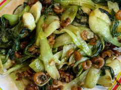 金钩海米小油菜-开海·红岛海鲜虾水饺(石老人店)