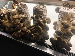 -番食园鲜食火锅(高新店)