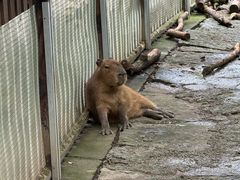 -宁波野生动物园