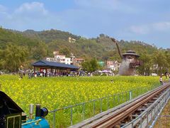 -红山村