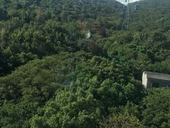 -普陀山慧济禅寺