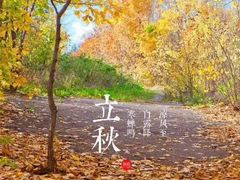 -上海市静安区图书馆(新闸路馆)
