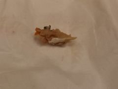 -佬钱湾仔(衣裳街店)