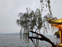 -西湖游船