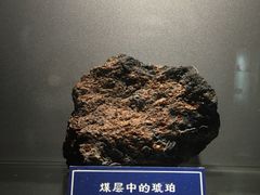 -中国地质大学逸夫博物馆