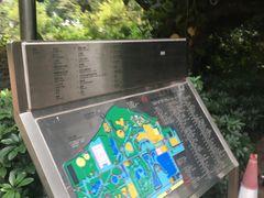 -九龙公园