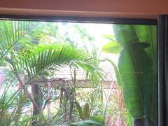 -泰堤坊(淡水体育馆店)