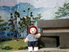 -济州岛泰迪熊博物馆