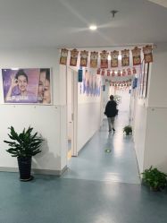 -温州伯思立医院
