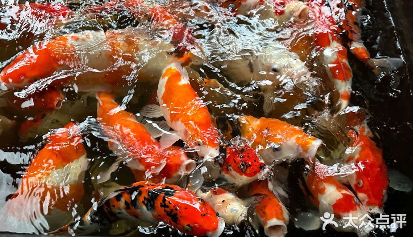 乡味美食游
