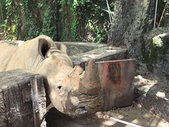 -杭州野生动物世界