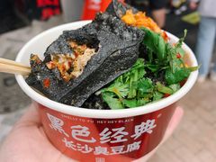 -黑色经典臭豆腐·湖南特产(坡子街特产局店)