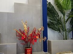 -西琳姑娘·新疆冰淇淋酸奶茶(解放北路店)