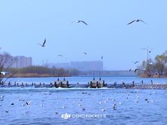 -森林公园(尖草坪区)