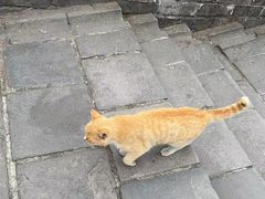 -慕田峪长城