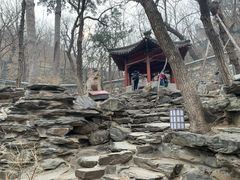 -大觉寺-停车场