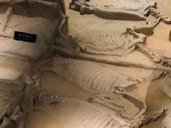 -洛阳周王城天子驾六博物馆