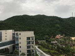 -东澳岛