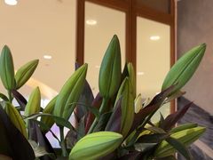 -THE WOODS 简餐 (国贸商城店)